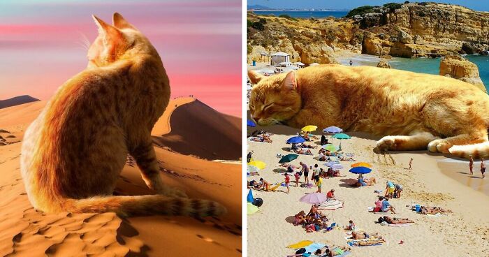 91 Surreal Photo Edits With Giant Cats By Matt McCarthy (New Pics)