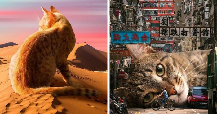 91 Surreal Photo Edits With Giant Cats By Matt McCarthy (New Pics)