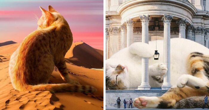 This Artist Uses Photoshop To Create Surreal Giant Cat Landscapes, Here Are His Newest 91 Edits