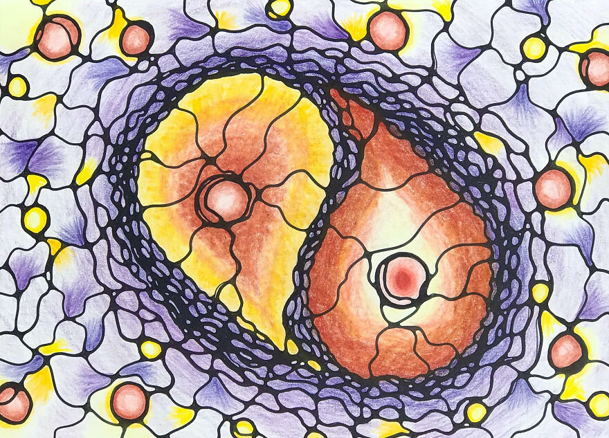 Cell Cycle.