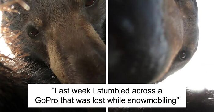 People Online Fascinated By Video Footage Showing Some Close-Ups Of A Bear Playing With Lost GoPro