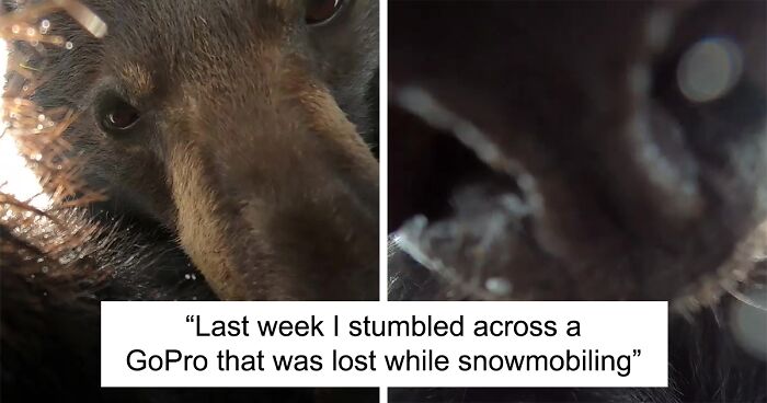 Hunter Discovers Fascinating Footage Filmed By A Bear When He Stumbles Upon GoPro Lost In The Snow