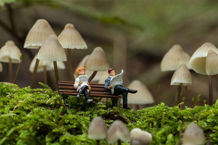 35 Photos Of My Miniature Worlds And The People Who Live There (New Pics)