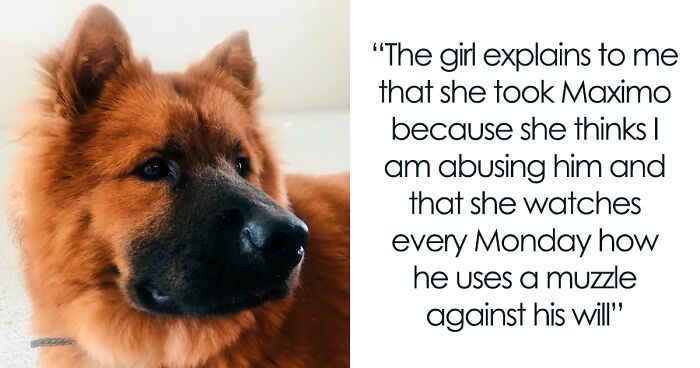 Girl In The Park Runs Away With A Man’s Dog, Claims The Dog Was Being ‘Abused’ And The Muzzle Was ‘Against Dog’s Will’