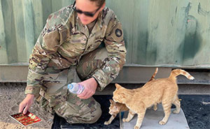 Sergeant Whiskers: A Cat With Two Kittens That Comforted Soldiers While They Were On Tour