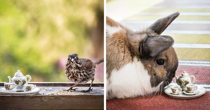 I Spend Most Of My Time In Nature, Having Tea Parties With Animals (14 New Pics)