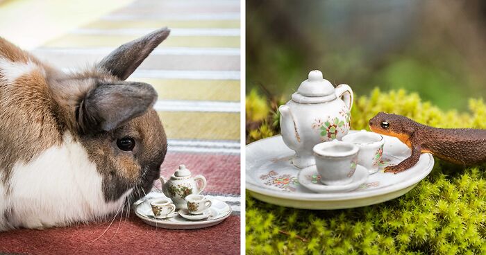 I Have Fun And Magical Tea Parties With All Kinds Of Animals (14 New Pics)