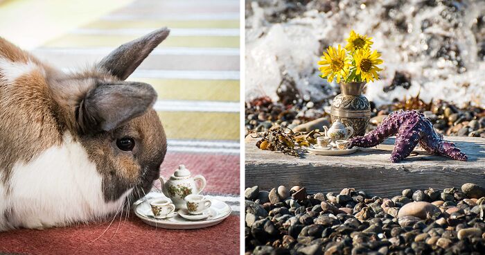 I Have Fun And Magical Tea Parties With All Kinds Of Animals (14 New Pics)