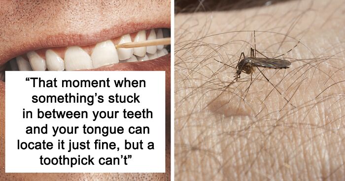 57 Things That Are Pretty Much Universally Hated By All People