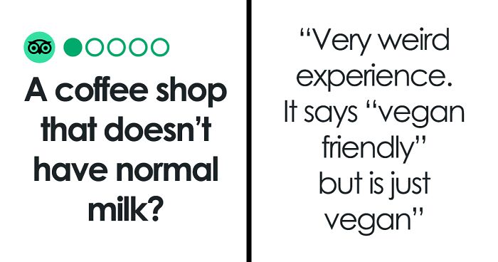 Vegan Café Owner Shares Their Side Of The Story After A Customer Complains They Were 'Forced' To Drink Oat Milk