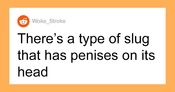 73 People Share The Weirdest Facts They Somehow Know