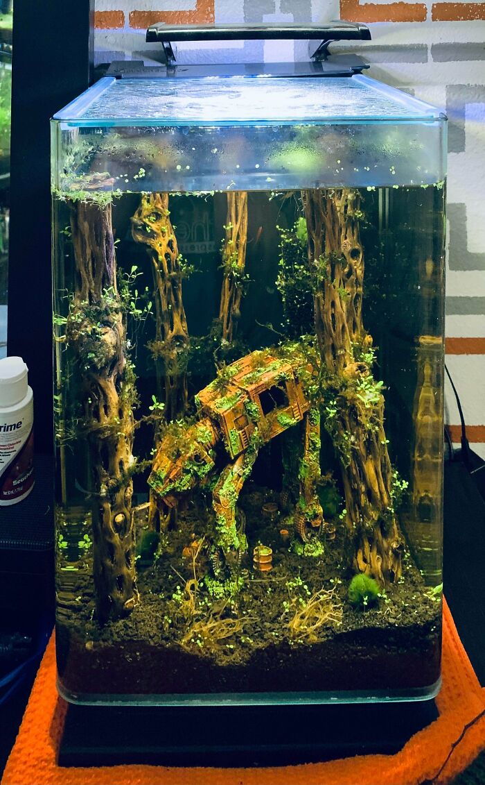 This Star Wars Fish Tank