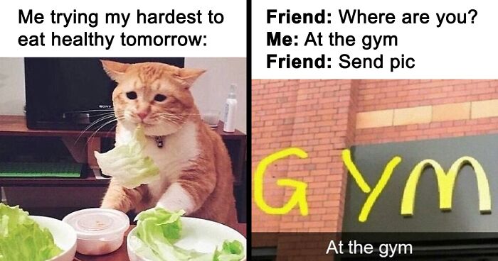 106 Hilarious Food Memes For Food Lovers