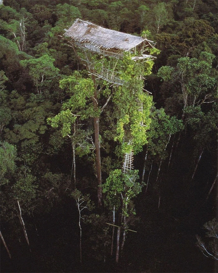 Abandoned Indigenous House In Papua New Guinea