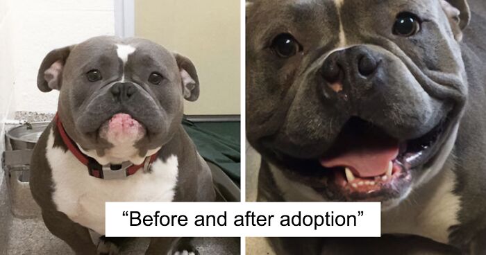 216 Times People Posted Incredibly Wholesome Before & After Pictures Online