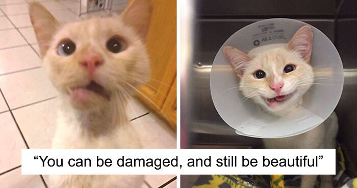 216 Times People Were So Satisfied With These Before & After Pictures, They Just Had To Share Them With The World