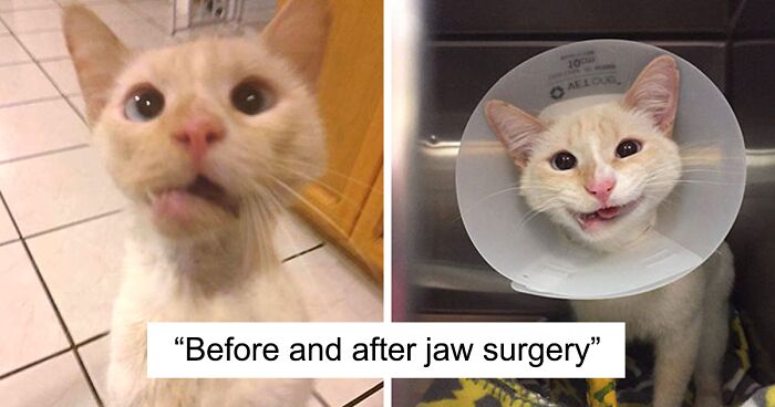 50 Times People Posted Incredibly Wholesome Before & After Pictures Online