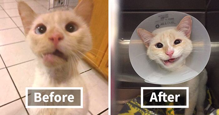 50 Times People Posted Incredibly Wholesome Before & After Pictures Online