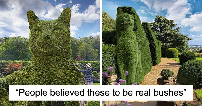 75-Year-Old Artist Creates Edits Of Giant Surrealist Bushes In The Shape Of His Deceased Cat (70 Pics)