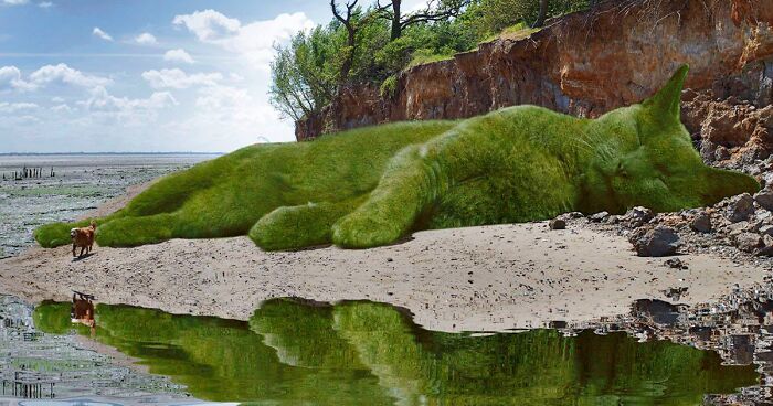 75-Year-Old Artist Makes Convincing Images Of Bushes In The Shape Of His Deceased Cat (70 Pics)