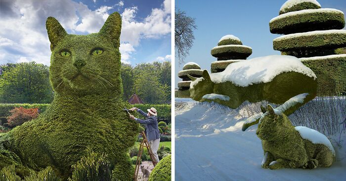 This 75-Year-Old Artist Creates Edits Of Bushes In Honor Of His Deceased Cat