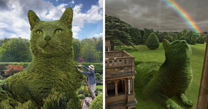 This 75-Year-Old Artist Creates Edits Of Bushes In Honor Of His Deceased Cat