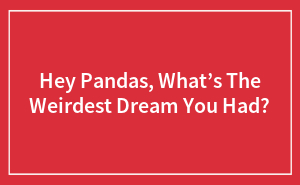 Hey Pandas, What’s The Weirdest Dream You Had?