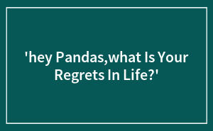 ‘hey Pandas,what Is Your Regrets In Life?’