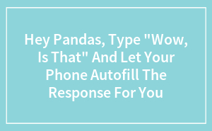 Hey Pandas, Type “Wow, Is That” And Let Your Phone Autofill The Response For You