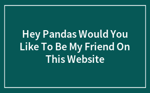 Hey Pandas Would You Like To Be My Friend On This Website