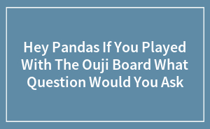 Hey Pandas If You Played With The Ouji Board What Question Would You Ask