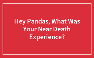 Hey Pandas, What Was Your Near Death Experience?