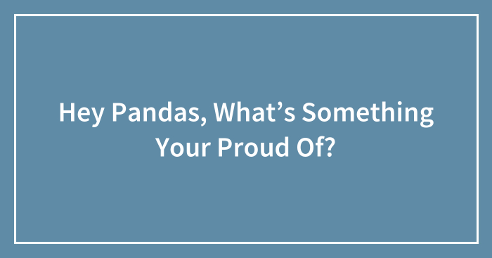 Hey Pandas, What’s Something Your Proud Of? (Closed)