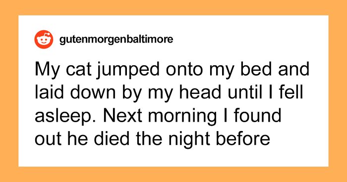 56 Spooky Stories That People Couldn’t Explain Rationally