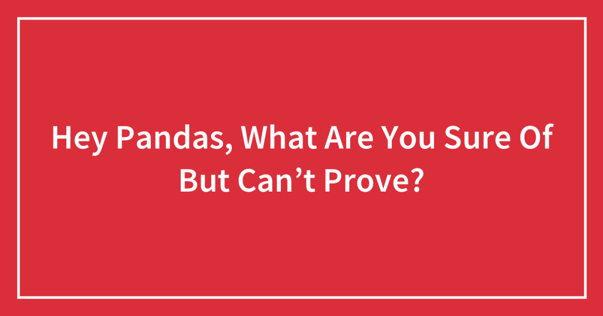 Hey Pandas, What Are You Sure Of But Can’t Prove? (Closed) | Bored Panda