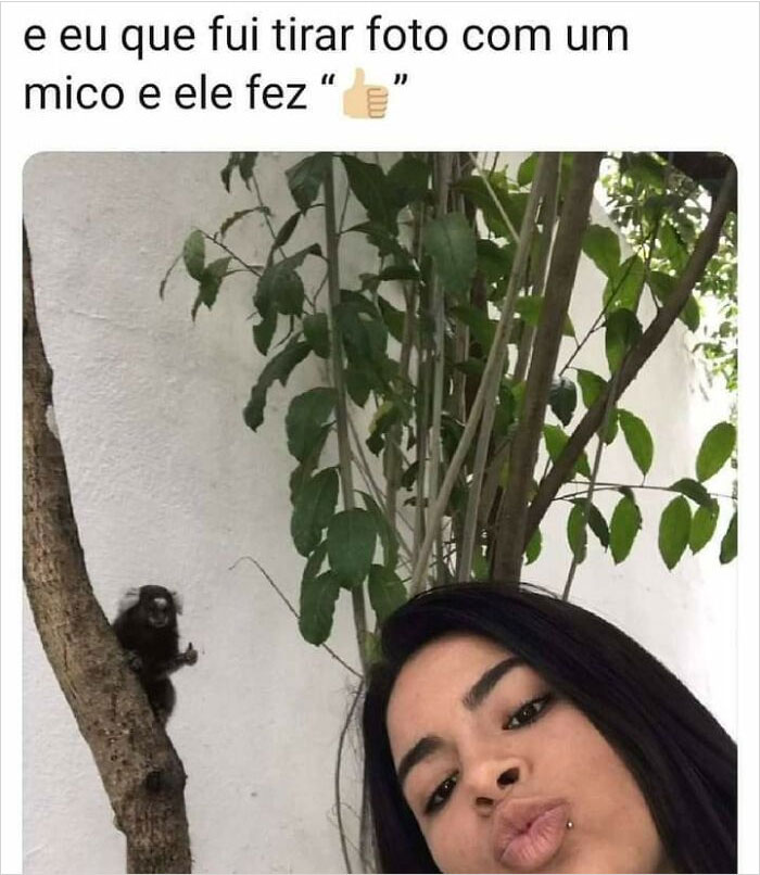 Prulito memes. Best Collection of funny Prulito pictures on iFunny Brazil