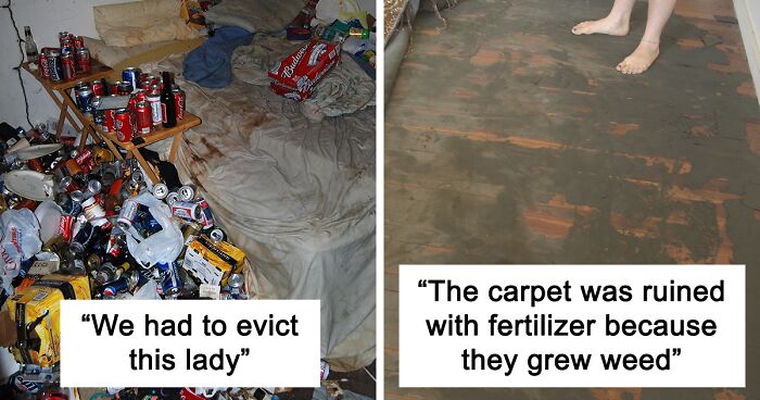 41 Fed Up Landlords Reveal The Worst Tenants They've Ever Had