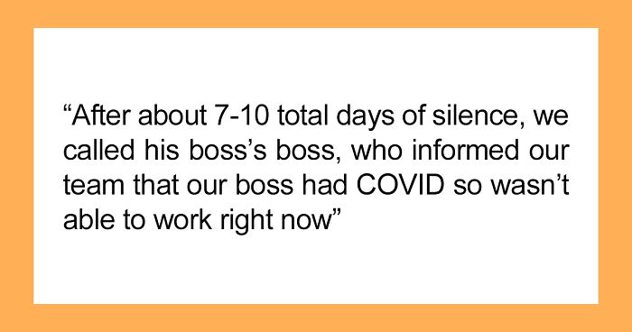 Employee Comes Up With A Revenge Plan After Their Boss Randomly Disappeared For 8 Weeks And Lied About Being Sick With Covid