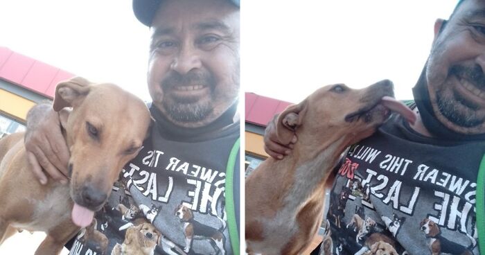 Man Rescued A Dog That Bit Him And His Story Went Viral