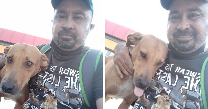 After A Dog Bit This Man, He Treated Her With Love And Respect, Earning Her Trust