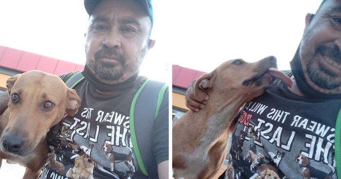 Stray Dog Bites A Man, That Doesn't Stop Him From Patiently Gaining Her Trust And Saving Her