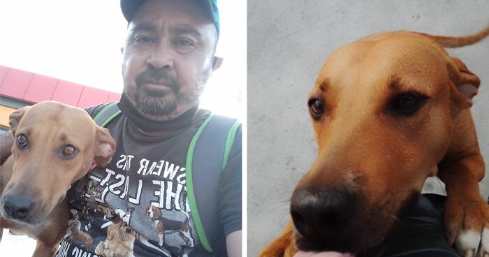 Man Rescued A Dog That Bit Him And His Story Went Viral