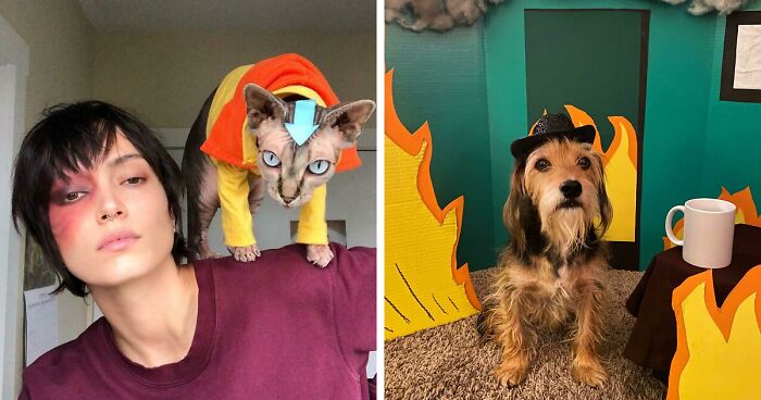 157 Pets That Slayed Their Halloween Costumes