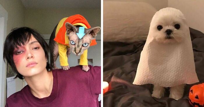 157 Pets That Rocked Their Halloween Costumes