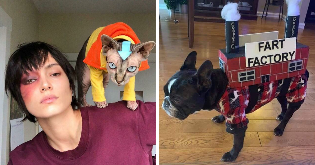 8 Safety Considerations for Halloween Pet Costumes