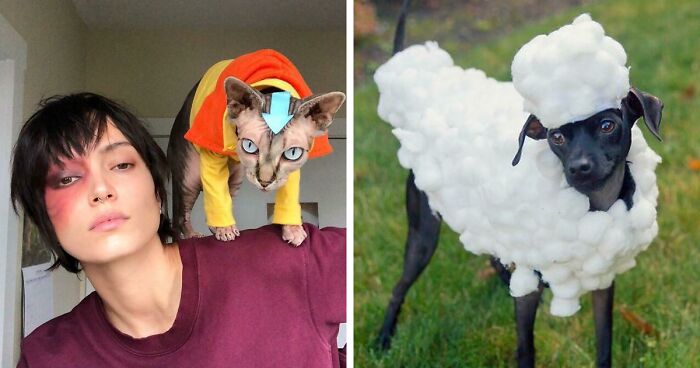 157 Pets That Looked Adorable In Their Halloween Costumes