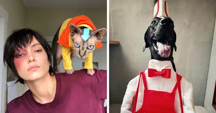 157 Pets That Were So Ready For Halloween With Their Amazing Costumes