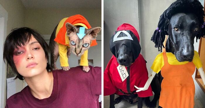 157 Pets That Looked Incredible In Their Halloween Costumes