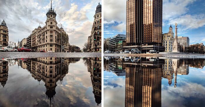 I Discover Hidden Parallel Worlds In Puddles And Other Reflections On My Smartphone (30 Pics)