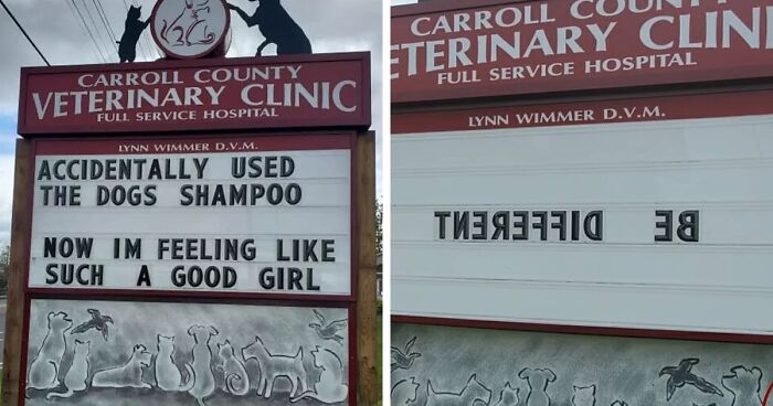 75 Genius Outdoor Signs From This Vet Clinic That Dad Joke Lovers Might Appreciate (New Pics)